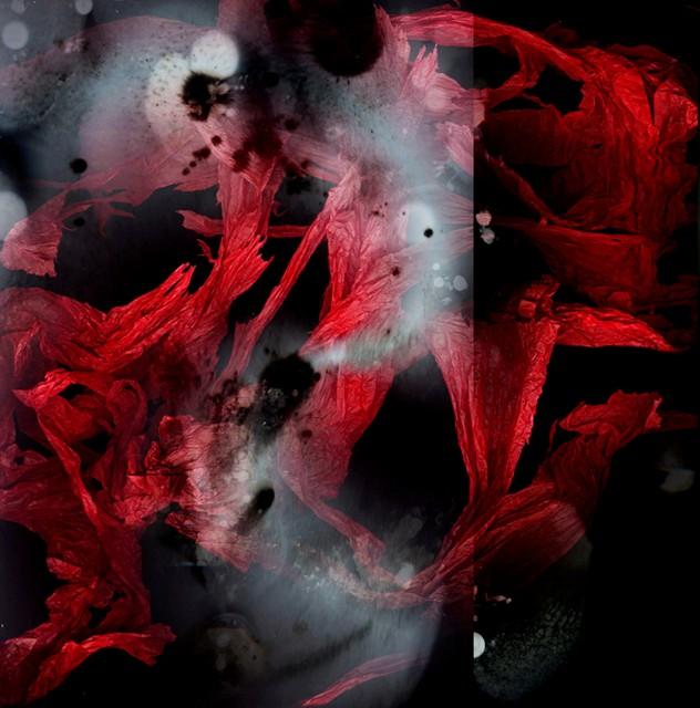 quando percorro le tue stanze