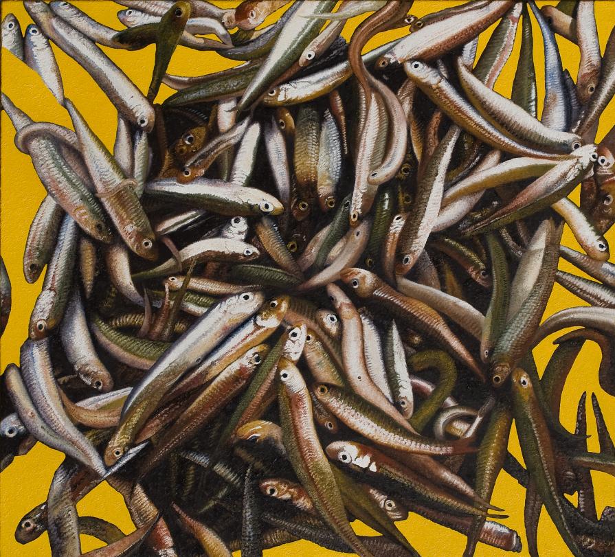 settantuno settantuno