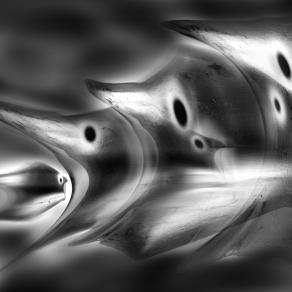 venerdi' , è dedicato al pesce