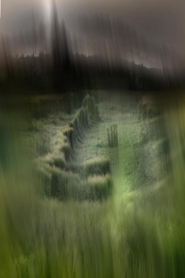 scorcio in  Fontanelle, della Rosa Mistica