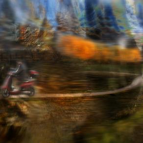 siamo una cellula in  una comunita' di cellule.in un involucro totale.