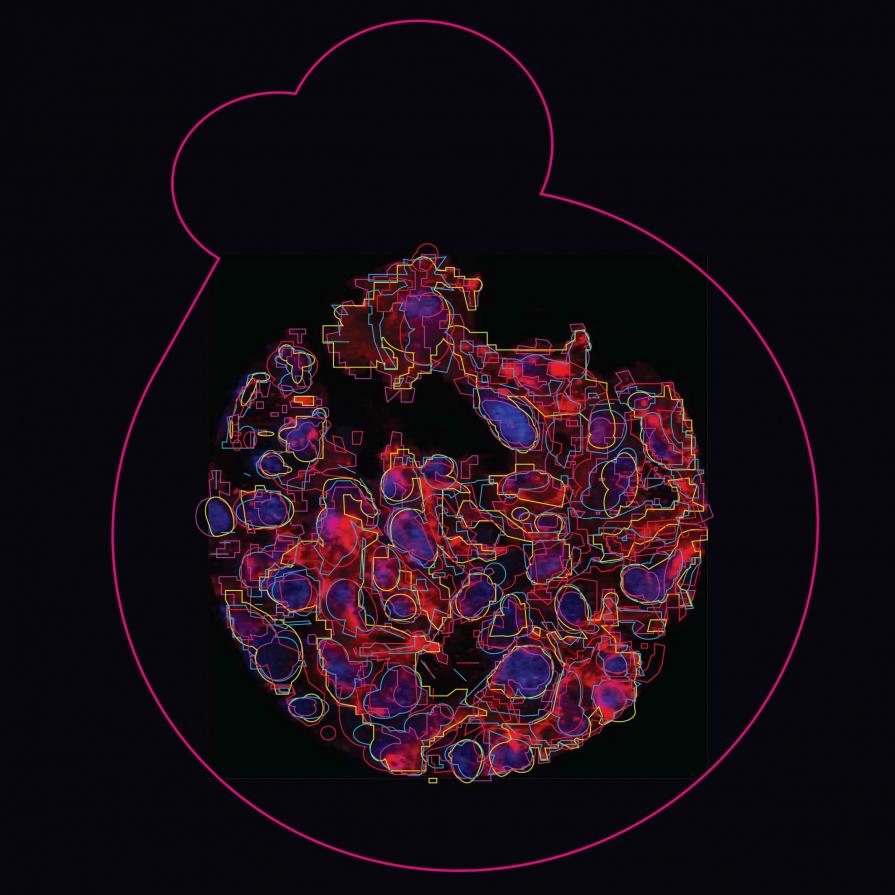 hijacking natural systems 