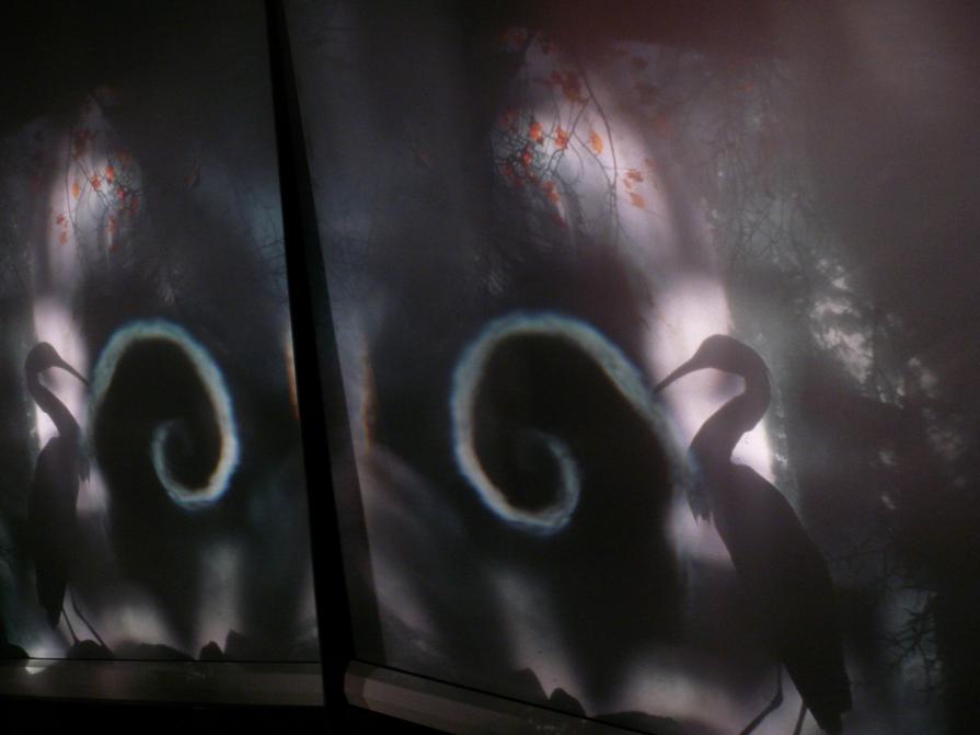 The Pussy,the mirror,the window,the spiral and the egret.Dimly by mirror.Sasom i en spegel..I.BERGMA The Pussy,the mirror,the window,the spiral and the egret.Dimly by mirror.Sasom i en spegel..I.BERGMA