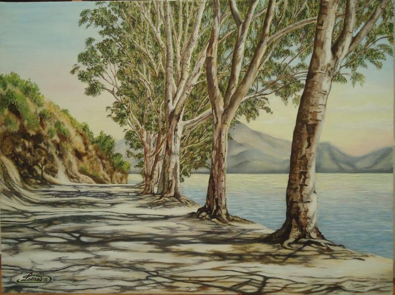 EUCALIPTI SULL'ISOLA DI CATALINA