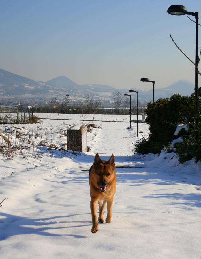 A tutti gli amici di Celeste & C. buon ferragosto