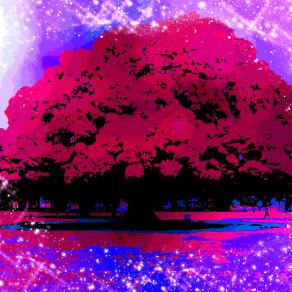 ...SONO INESAURIBILE !!!...