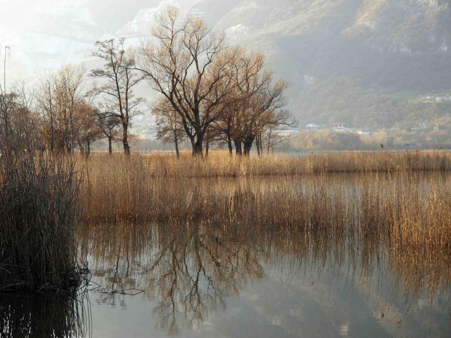 " AUTUNNO IN BRIANZA " " AUTUNNO IN BRIANZA "
