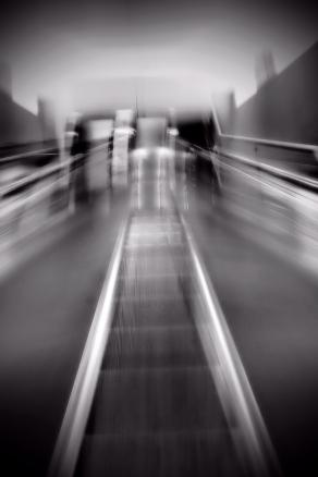 La strada che devo percorrere 