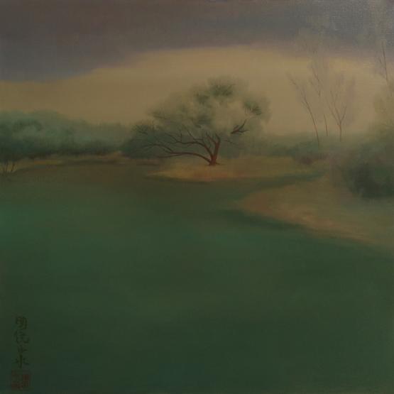 aqua fermata , specchio chiarezza