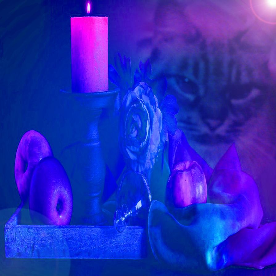 . . . Addio Mia Piccola Principessa Chiara . . . . . . Addio Mia Piccola Principessa Chiara . . .