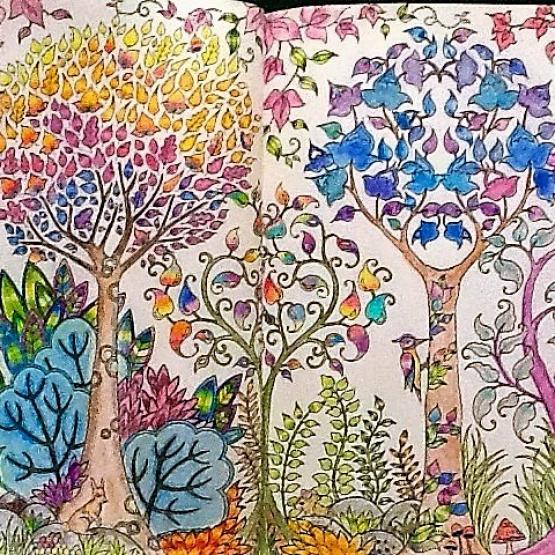 . . . La Sfida di Tany !!!! . . . 