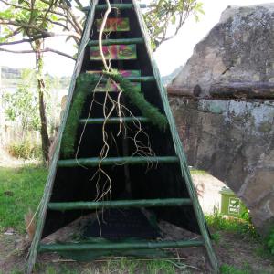 L'Antro della Sibilla di Teresa Mangiacapra(Niobe) L'Antro della Sibilla di Teresa Mangiacapra(Niobe)