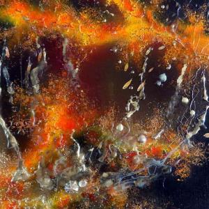 NUOVO EVENTO SABATO 22 ALLE ORE 18.00 ALLA PERSONALE DI BARBARA GHISI A MODENA 