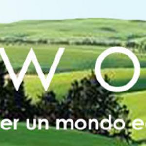 OpenARTmarket / l'arte tra promozione culturale e mercato OpenARTmarket / l'arte tra promozione culturale e mercato