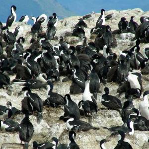 Argentina, Patagonia