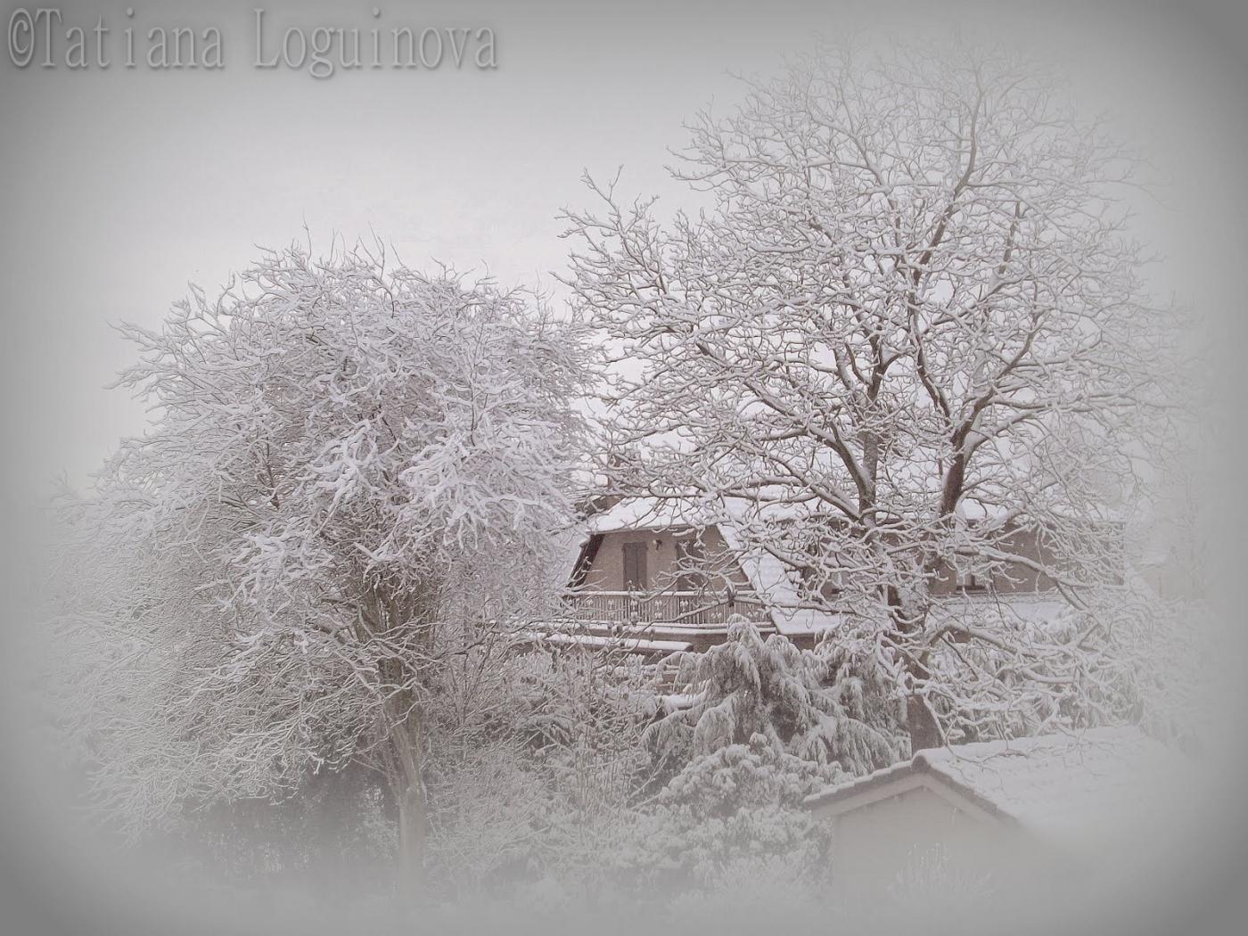 'PhotoVogue' /Italia publication