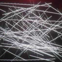 Helen Scarlett O'Neill