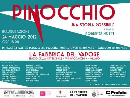 Pinocchio, una storia possibile.