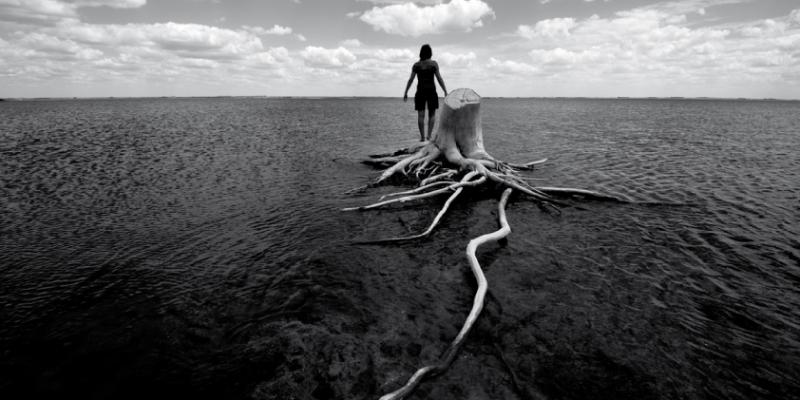 Ecologica/Mente Ecologica/Mente