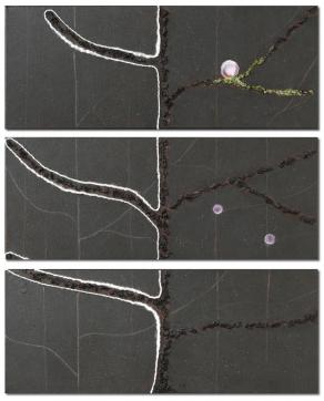 Rinascita - trittico