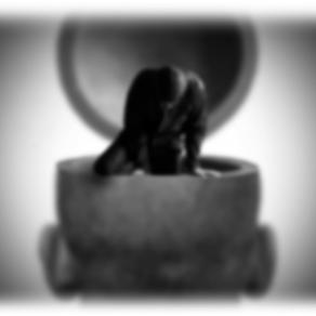 ...nel mondo dei sogni #19