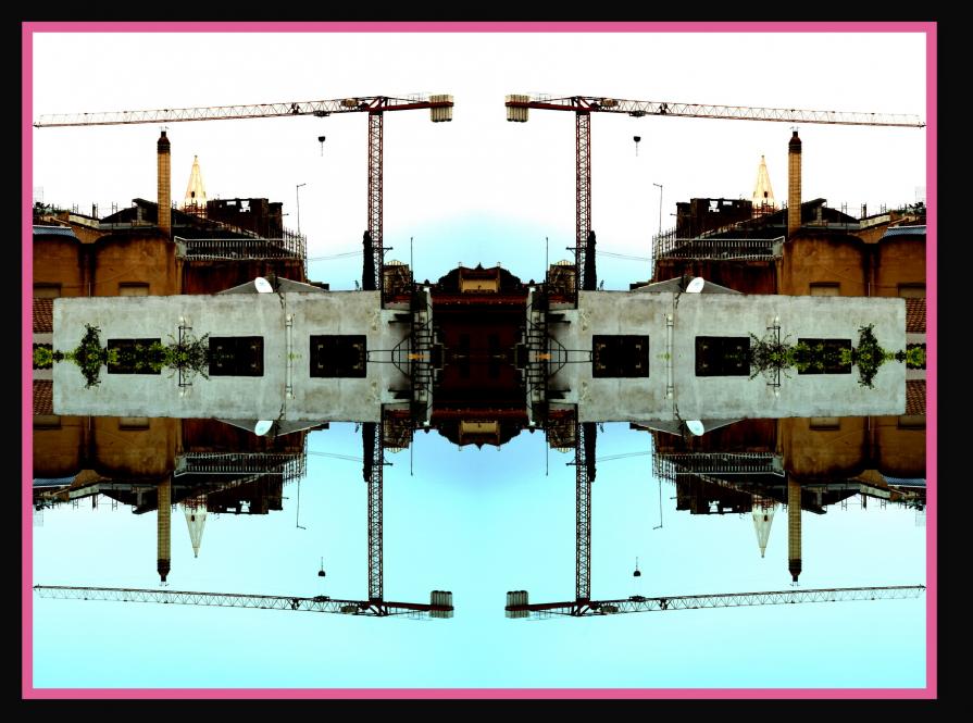 Le invasioni delle gru nella mia città