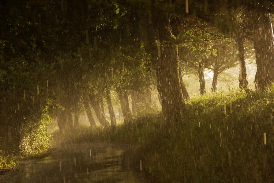 I colori della pioggia