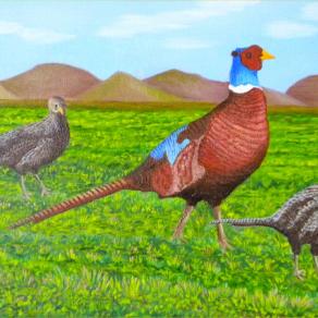 LG 0231 - Il fagiano