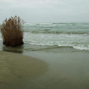 Spaesarsi...    Getting lost...