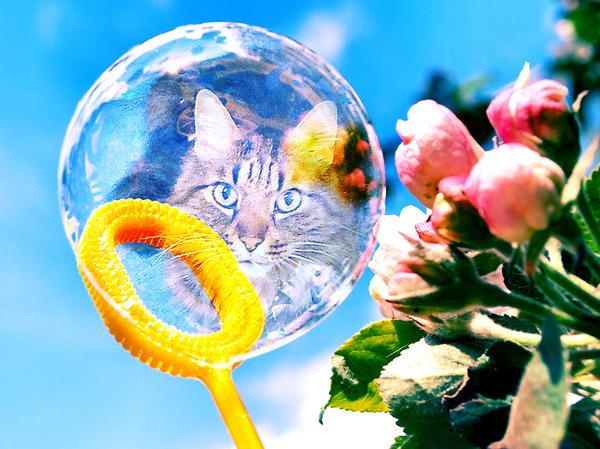 . . . LO SO GIA' !!! . . . 