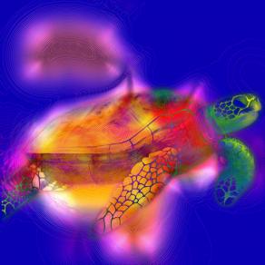 . . . Il tempo da perdere !!! . . .