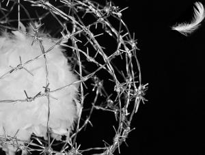 nina - "St(r)ati d'animo"