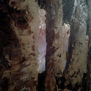 Particolare Particolare