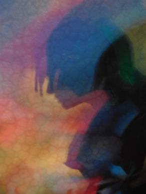 I COLORI DELLA BIODIVERSITÀ