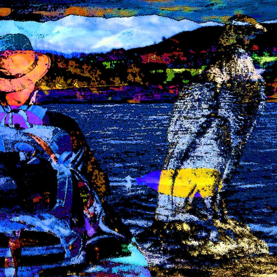 Nessuno guarda a cosa c’è davanti ai suoi piedi: tutti guardano alle stelle ... !!!!!