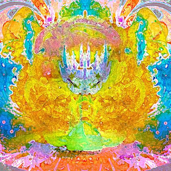 Il pregiudizio vede ciò che gli pare e non vede ciò che è evidente...!!!