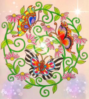 Le meraviglie della natura 7