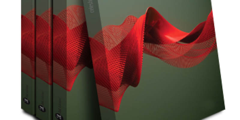 Celeste Prize 2010 - New York Celeste Prize 2010 - New York