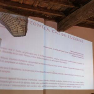 “5 Elementi 5” legno . fuoco . terra . metallo . acqua “5 Elementi 5” legno . fuoco . terra . metallo . acqua