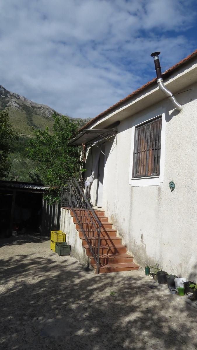 Aco and Arte (Artists Refuge)