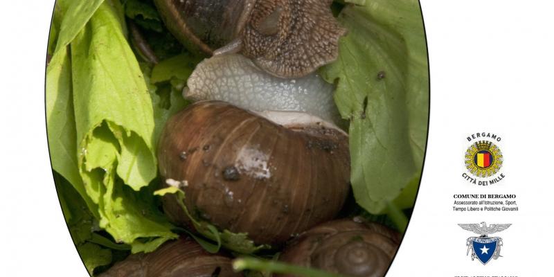 Sentieri di terra / ORTO-grafie Sentieri di terra / ORTO-grafie