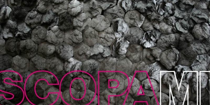 Scopa/Mi - Francesca Pasquali