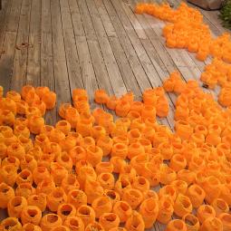 Andrea Silva Guzmán