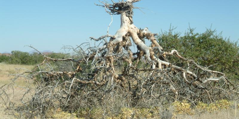 My best friends Threes My best friends Threes