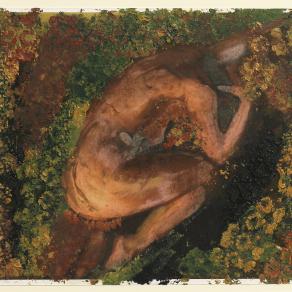  corpo nella continuità 