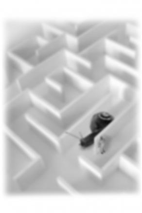 ...nel mondo dei sogni #12