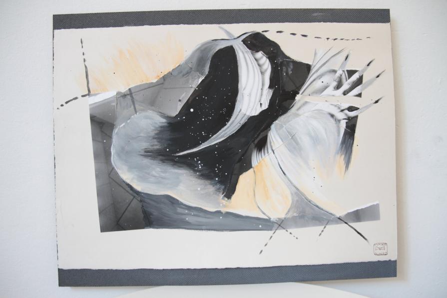 Donna chisciotte sogna