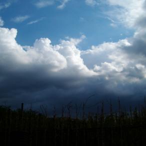 2009, Pasqua: Tempesta in arrivo