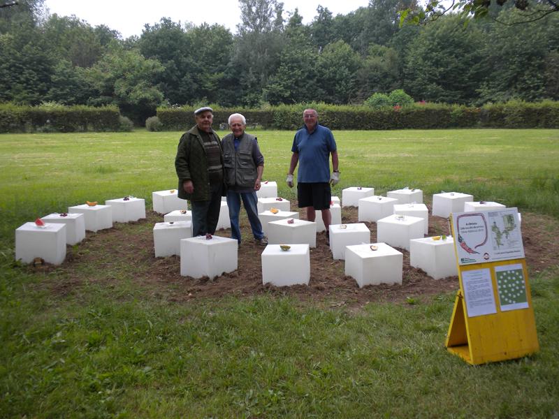 Dalla raccolta alla semina 2 - 2010_foto6