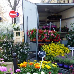 Des fleurs à profusion